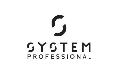 System professionals -logo